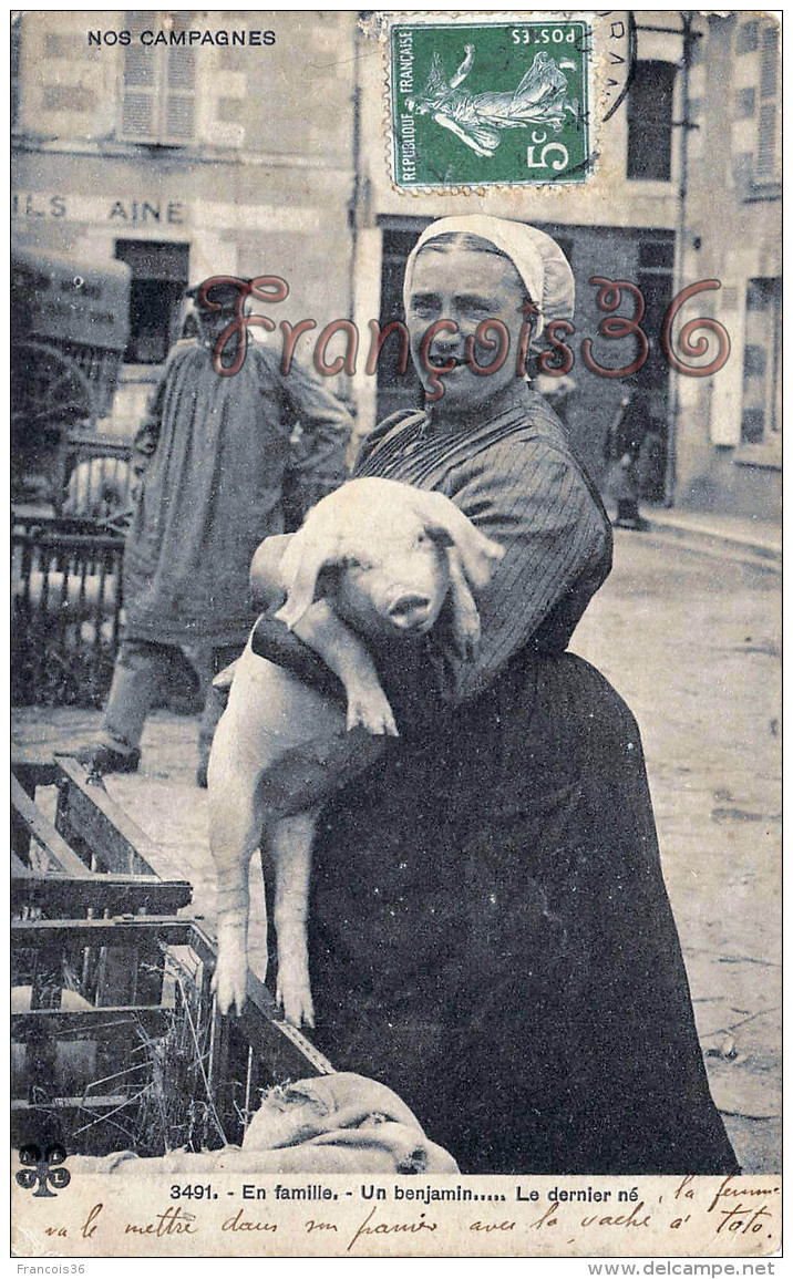 (41) Romorantin - En Famille Un Benjamin Le Dernier Né - 2 SCANS - Romorantin