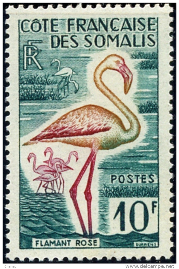 BIRDS-GREATER FLAMINGOS-IMPERF COLOR TRIALS & ARTIST SIGNED PROOF-FRENCH SOMALI COAST-1960-SCARCE-D2-09 - Flamants