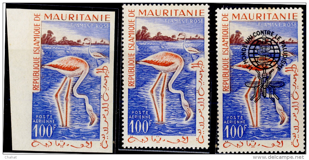 BIRDS-GREATER FLAMINGOS-IMPERF, AN OVPT AND IMPERF COLOR TRIALS-MAURITANNIA-1961-SCARCE-D2-26 - Flamingos