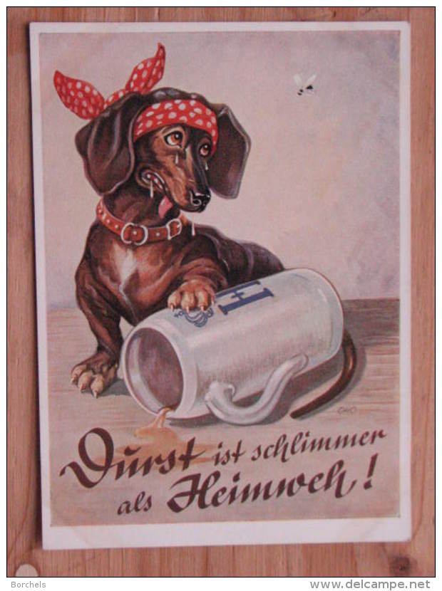 Hund142 : Dackel "Durst Ist Schlimmer Als Heimweh" - Lengauer Karte Nr. 2109 - Farbfoto - Sehr Gut Erhalten - Hunde