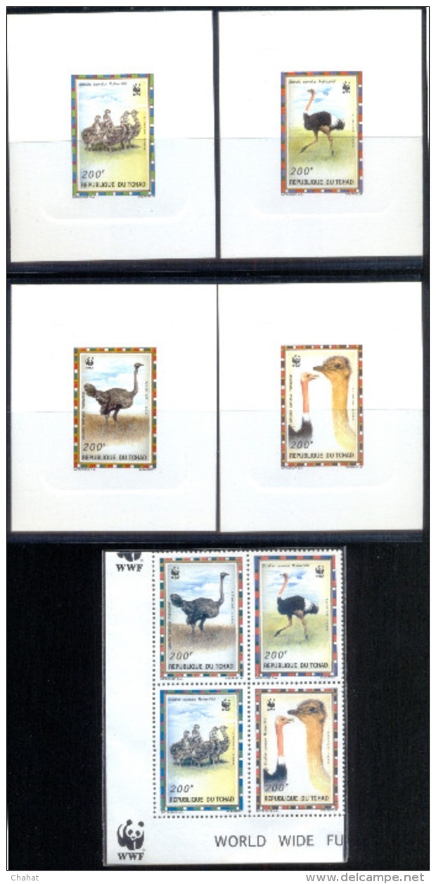 BIRDS-COMMON OSTRICH-WWF-SET OF 4 DELUXE CARDS WITH SETENANT BLOCK-CHAD-1996-ERROR-MNH-SCARCE-D2-10 - Struzzi