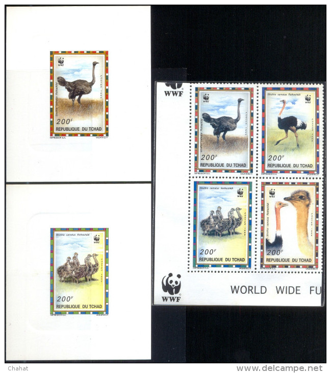 BIRDS-COMMON OSTRICH-WWF-SET OF 4 DELUXE CARDS WITH SETENANT BLOCK-CHAD-1996-ERROR-MNH-SCARCE-D2-10 - Struzzi