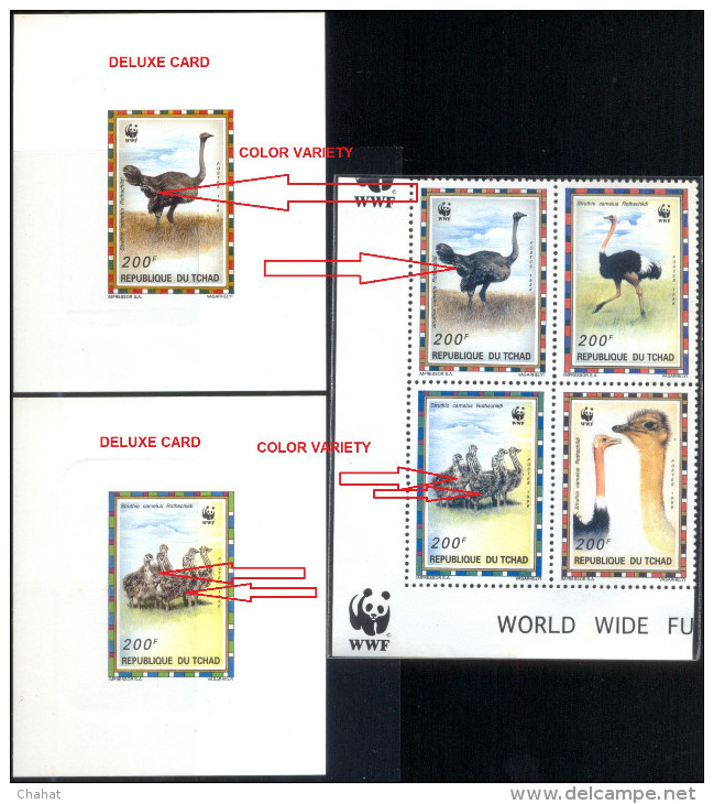 BIRDS-COMMON OSTRICH-WWF-SET OF 4 DELUXE CARDS WITH SETENANT BLOCK-CHAD-1996-ERROR-MNH-SCARCE-D2-10 - Struzzi