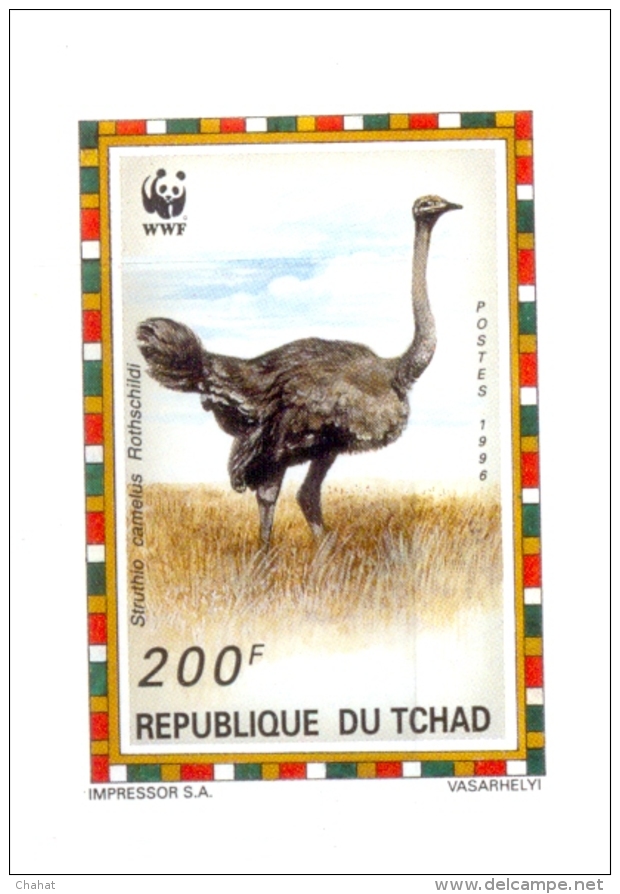 BIRDS-COMMON OSTRICH-WWF-SET OF 4 DELUXE CARDS WITH SETENANT BLOCK-CHAD-1996-ERROR-MNH-SCARCE-D2-10 - Struzzi