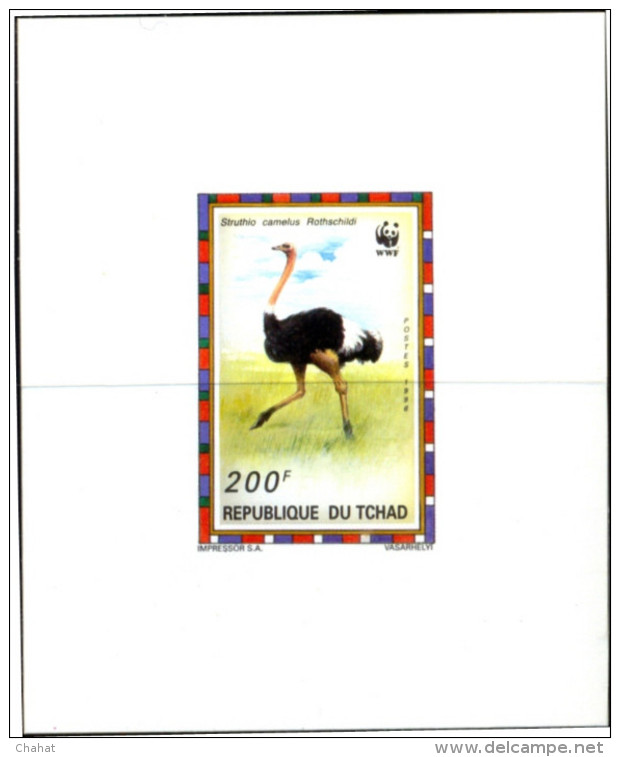 BIRDS-COMMON OSTRICH-WWF-SET OF 4 DELUXE CARDS WITH SETENANT BLOCK-CHAD-1996-ERROR-MNH-SCARCE-D2-10