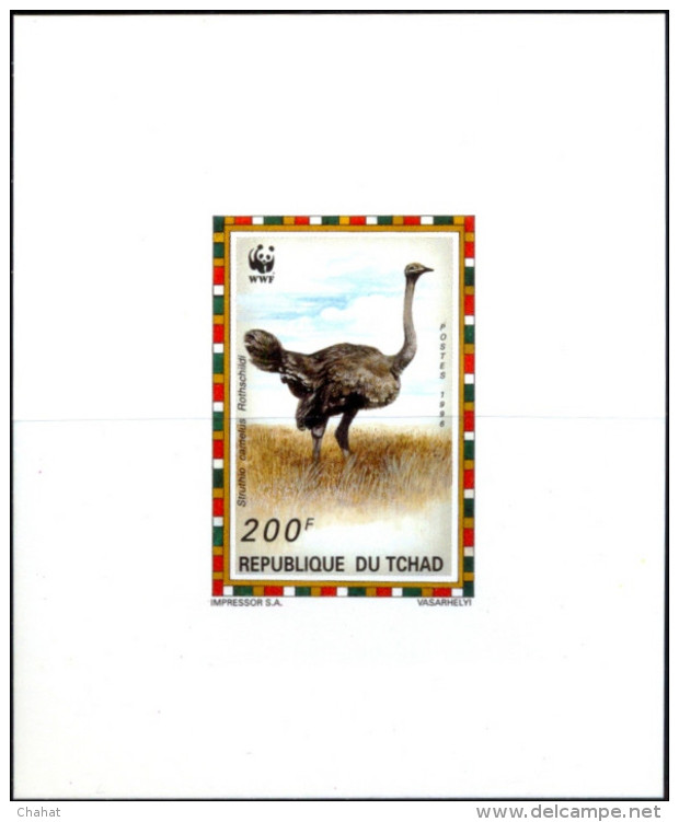 BIRDS-COMMON OSTRICH-WWF-SET OF 4 DELUXE CARDS WITH SETENANT BLOCK-CHAD-1996-ERROR-MNH-SCARCE-D2-10