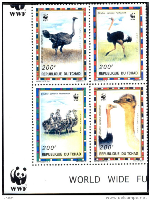 BIRDS-COMMON OSTRICH-WWF-SET OF 4 DELUXE CARDS WITH SETENANT BLOCK-CHAD-1996-ERROR-MNH-SCARCE-D2-10