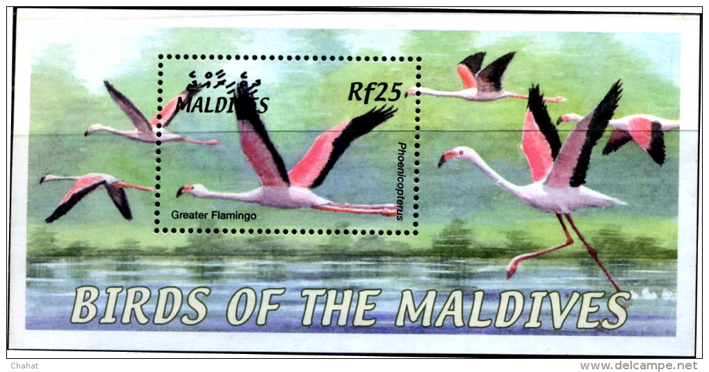 BIRDS-GREATER FLAMINGOS-MS-MALDIVES-2002-MNH-SCARCE-D2-21 - Flamingo