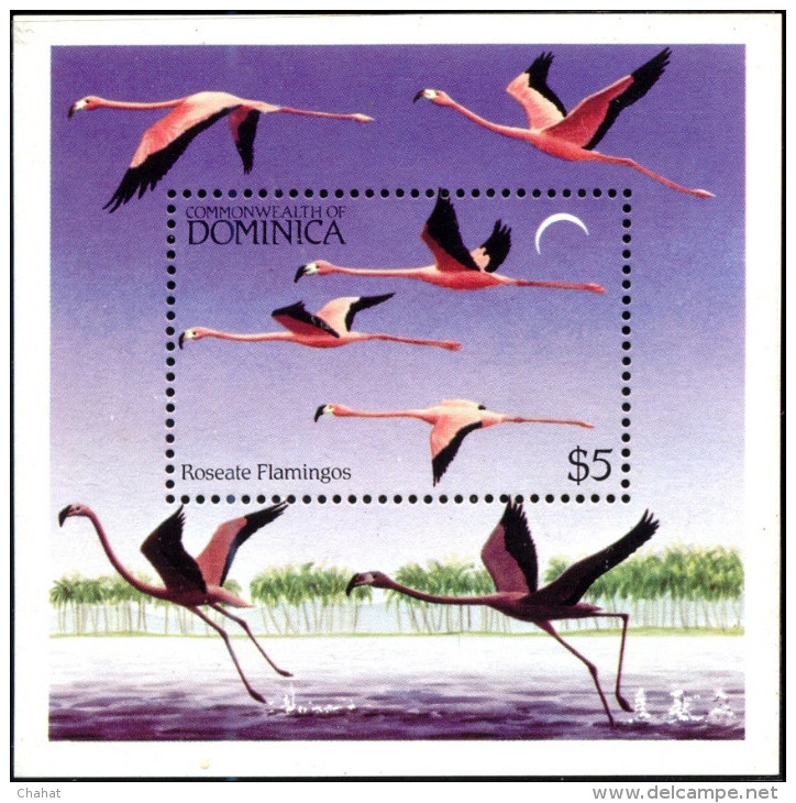 BIRDS-ROSEATE (AMERICAN) FLAMINGOS-MS-DOMINICA-1984-MNH-SCARCE-D2-19 - Flamingo