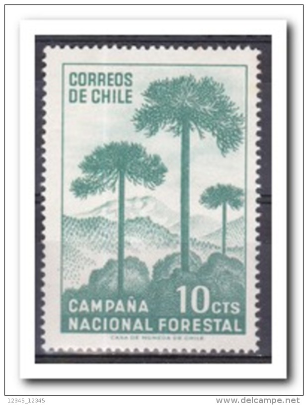 Chili 1967, Postfris MNH, Trees - Chili