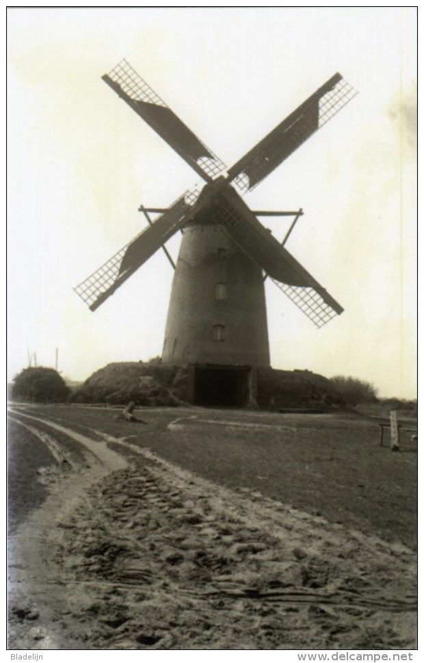 OVERPELT (Limburg) - Molen/moulin - Maxikaart Van De Molen Van Leyssen In Bedrijf Met Volle Zeilen (1926). Thans Romp - Overpelt