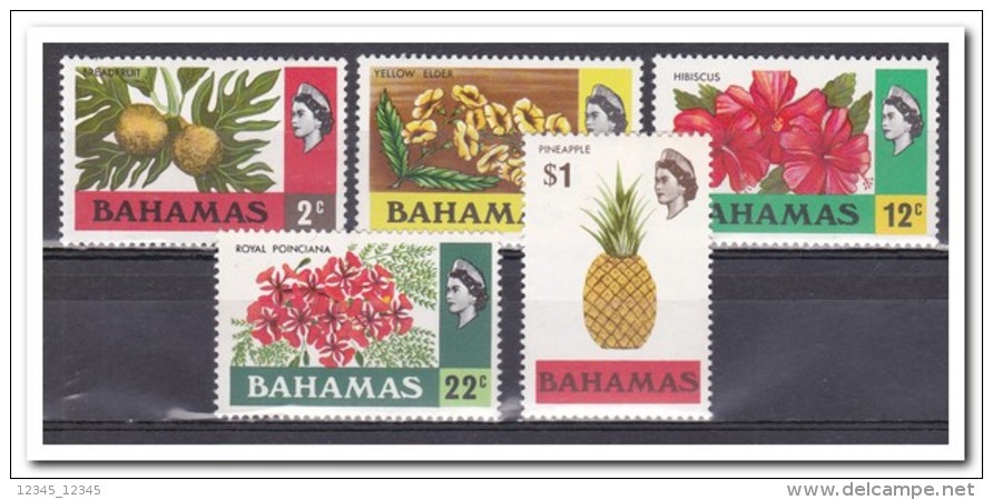 Bahama´s 1971, Postfris MNH, Flowers, Fruit - Bahama's (1973-...)