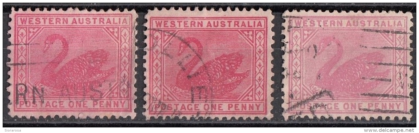 62 Western Australia 1890-1893 Lotto Di 3 Francobolli Viaggiati Used - Usados