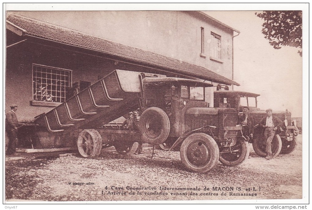 MACON (Saône Et Loire) Cave-Vin-Vendange-Arrivée CAMION Benne - RARE - - Macon