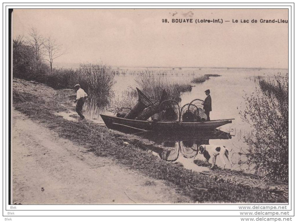 44. Loire Atlantique . Bouyae : Le Lac De Grand Lleu . - Bouaye