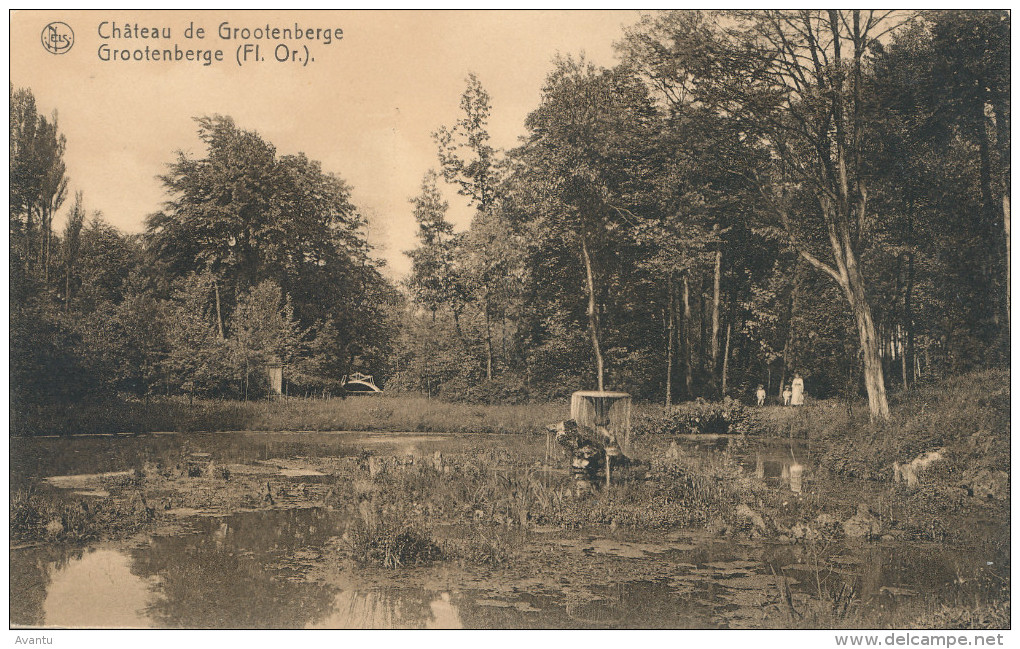 GROTENBERGE / ZOTTEGEM / DE VIJVER IN HET PARK - Zottegem