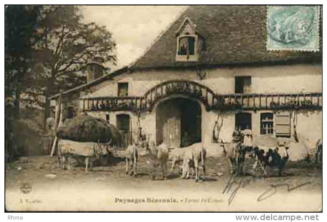 PAYSAGES BÉARNAIS - Ferme Du Camou - Bearn