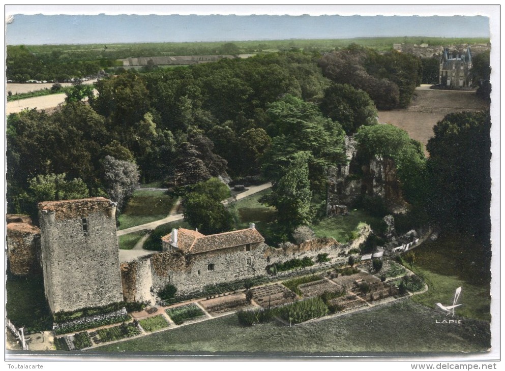 CPSM 85 LES ESSARTS RUINES DU VIEUX CHATEAU   Grand Format 15 X 10,5 - Les Essarts