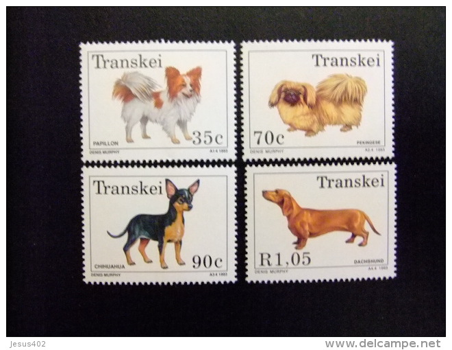 AFRIQUE DU SUD TRANSKEI 1993 Chiens Perros Yvert Nº 299 / 302 ** MNH - Transkei