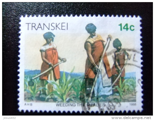 AFRIQUE DU SUD TRANSKEI 1986 Sarclage Des Plantations Yvert Nº 184 º FU - Transkei
