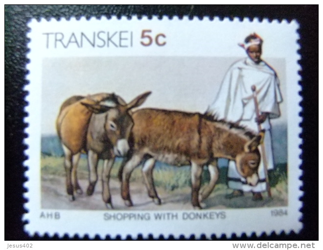 AFRIQUE DU SUD TRANSKEI 1984 Comerciante Con Sus Burros Yvert Nº 146 ** MNH - Transkei