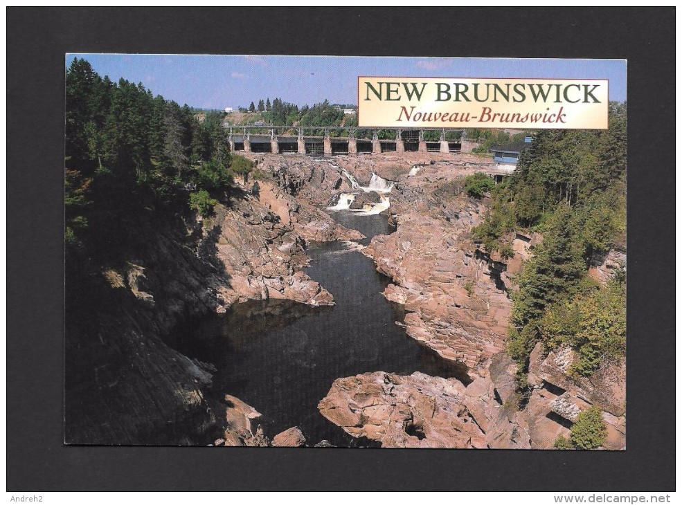 GRAND FALLS - NOUVEAU BRUNSWICK - LES CHUTES DE GRAND FALLS - THE GORGE IN GRAND FALLS - 17 X 12cm - 6¾ X 4¾ Po - Grand Falls