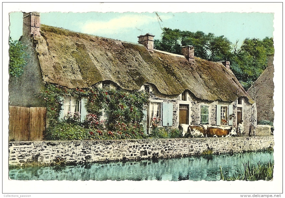 Cp, Normandie, Chaumières Au Bord De La Rivière, écrite - Basse-Normandie