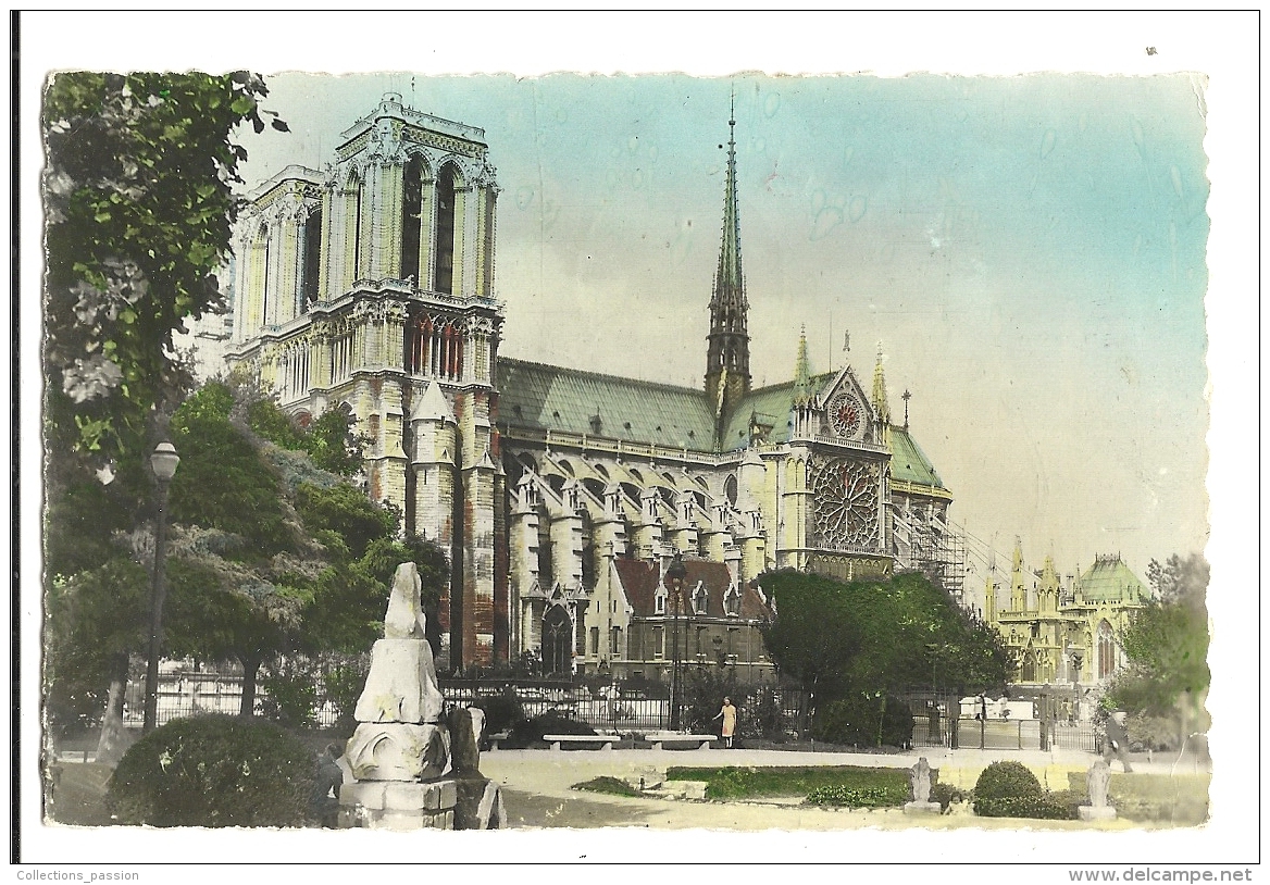 Cp, 75, Paris, Notre-Dame Vue Du Square, Voyagée 1954 - Notre Dame De Paris