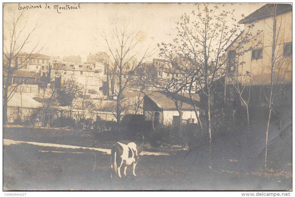 93- ENVIRONS DE MONTREUIL - VACHE PRES D´UN MAISON - CARTE PHOTO NON SITUEE - Montreuil