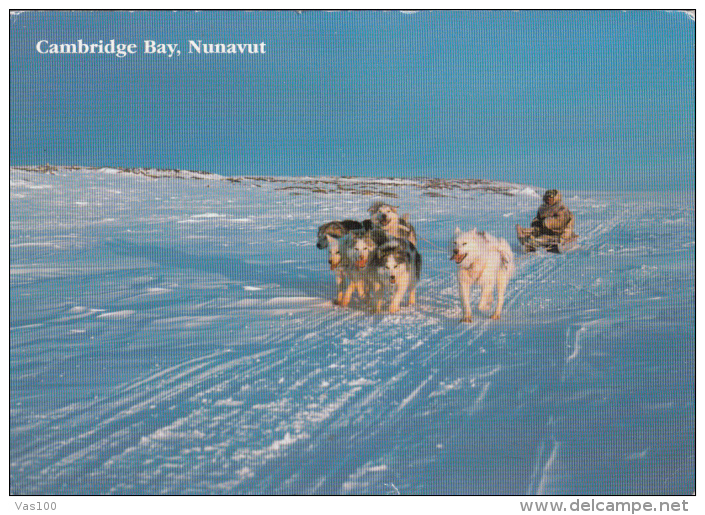 CPA CAMBRIDGE BAY- DOGS SLED, WINTER LANDSCAPE - Nunavut