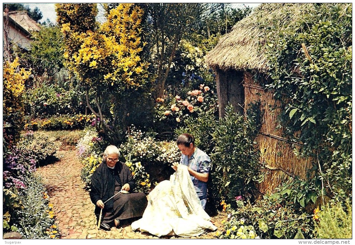 MADEIRA - Bordadura E Fiação - Bordadeiras Embroiderers Brodeuses - Costumes - Ed. J. Arthur Dixon N.&ordm; 567 - Portug - Madeira