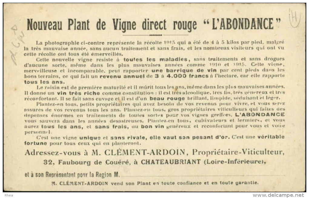 44 - CHATEAUBRIANT - Carte Pub Plant De Vigne L'Abondance - Châteaubriant