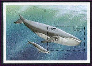 MALI   900  MINT NEVER HINGED SOUVENIR SHEET OF FISH-MARINE LIFE  #   616-5  ( - Fishes