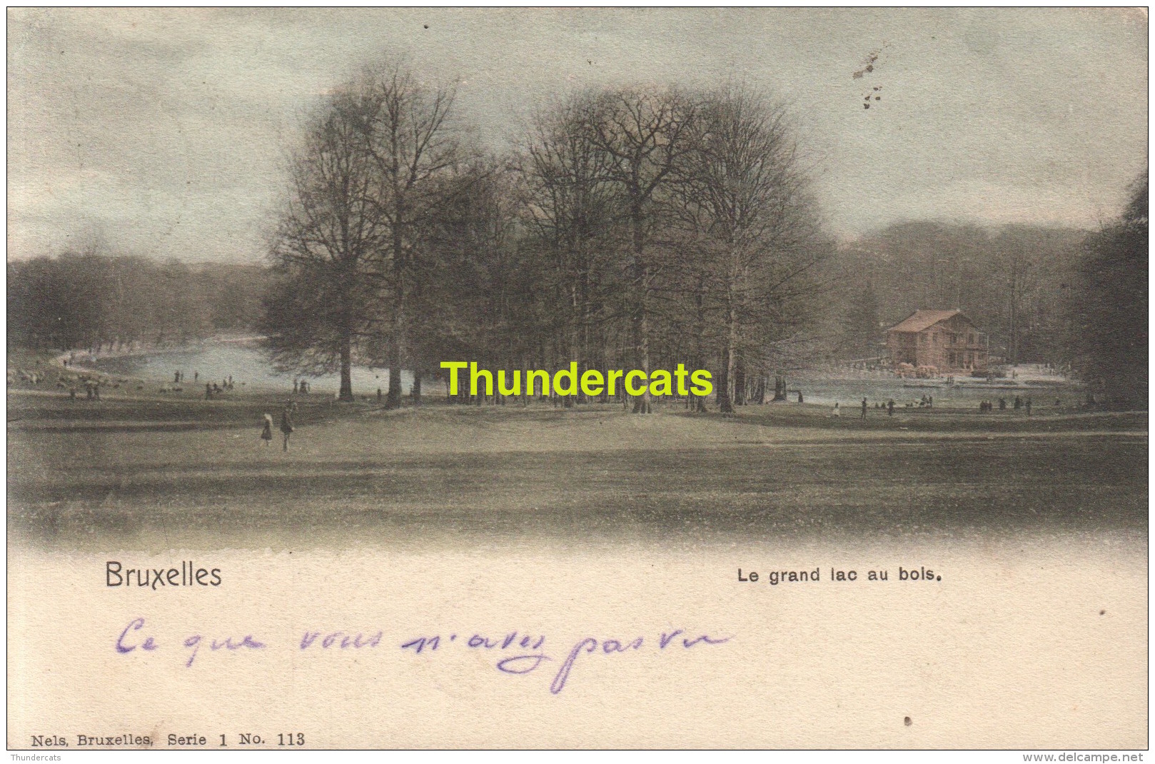 CPA BRUXELLES NELS SERIE 1 No 113 LE GRAND LAC AU BOIS - Forêts, Parcs, Jardins