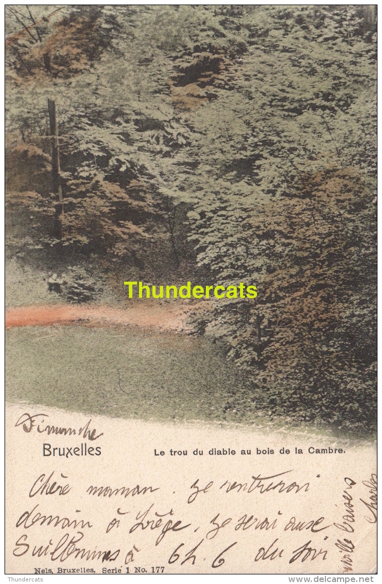 CPA BRUXELLES NELS SERIE 1 No 177 LE TROU DU DIABLE AU BOIS DE LA CAMBRE - Forêts, Parcs, Jardins