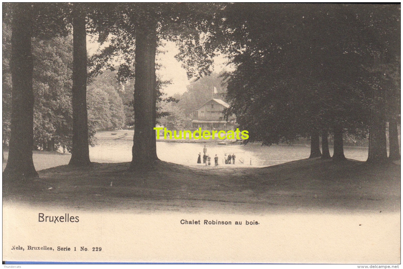 CPA BRUXELLES NELS SERIE 1 No 229 CHALET ROBINSON AU BOIS - Forêts, Parcs, Jardins