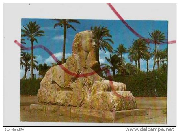 Cpm St001468 Le Sphinx De Sakkara - Gizeh