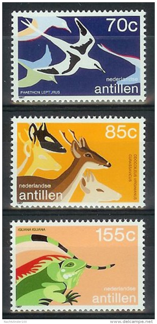 Mtx0879 FAUNA VOGELS HERT REPTIEL LEGUAAN BIRDS DEER IGUANA NEDERLANDSE ANTILLEN 1987 PF/MNH - Antillen