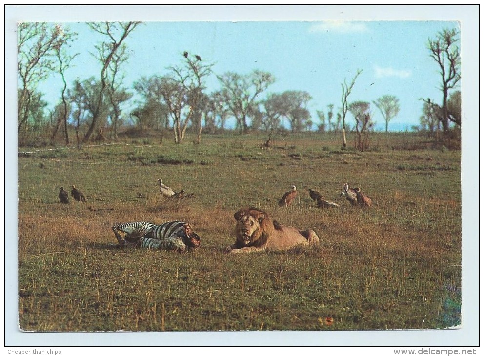 Zambia - Kafue National Park - Stamps - Zambia