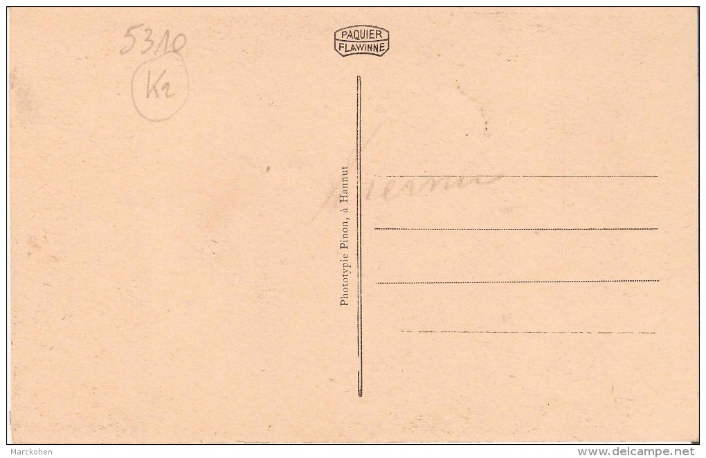 EGHEZEE-LIERNU (5310) : Le Chêne - Circonférence 12m50. CPA Rare. - Eghezee