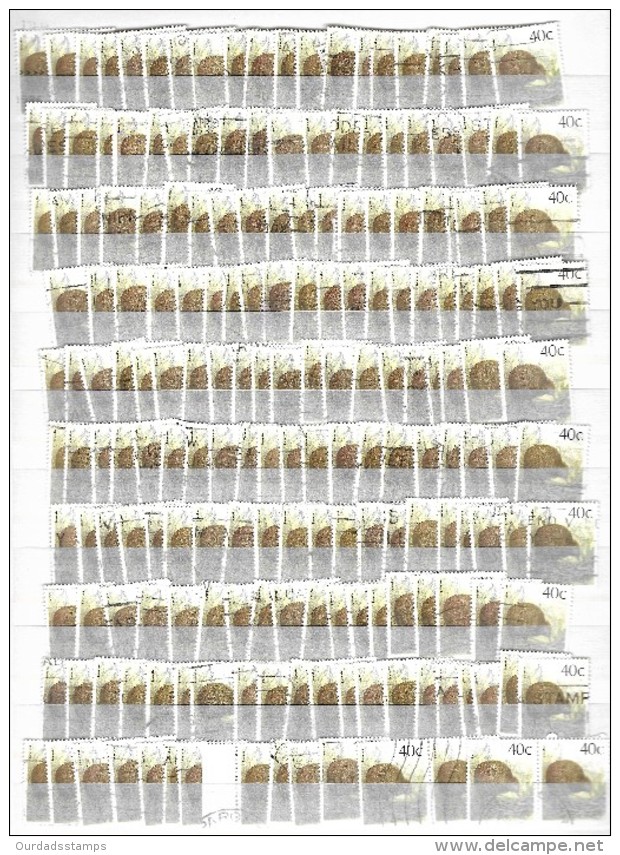 Birds, Two Full Pages From 1988 New Zealand Set, 40c Kiwi & 45c Wren (bb4311) - Songbirds & Tree Dwellers