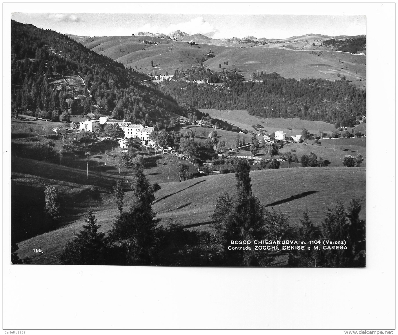 BOSCO CHIESANUOVA CONTRADA ZOCCHI, CENISEE M. CAREGA VIAGGIATA FG - Verona