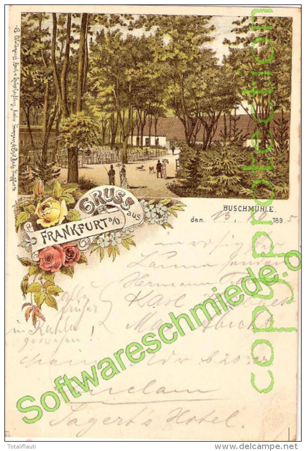 Gruss Aus Frankfurt Oder Color Litho Buschmühle Vorläufer 14.10.1895 Gelaufen - Frankfurt A. D. Oder