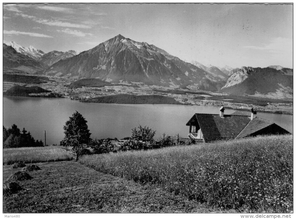 ERHOLUNGSHEIM  CHALET  MOOSHANG  SCHWANDEN (THUNERSEE)     (VIAGGIATA) - Schwanden Bei Brienz