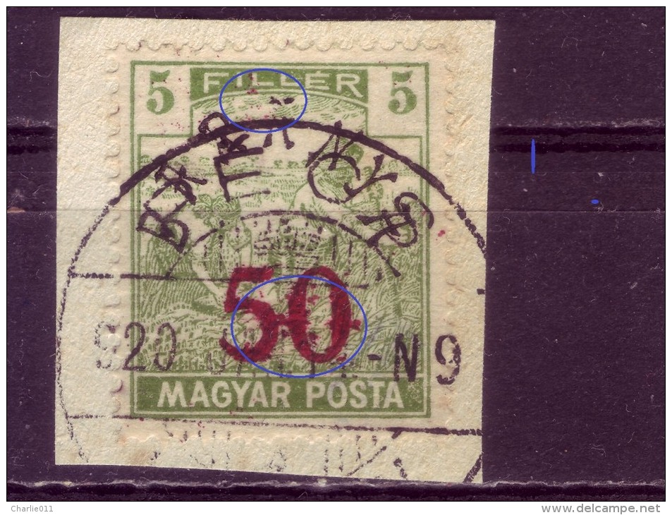 HARVESTERS-50 ON 5 FIL-OVERPRINT-BARANYA-ERROR-DOTS-HUNGARY-YUGOSLAVIA-1919 - Baranya