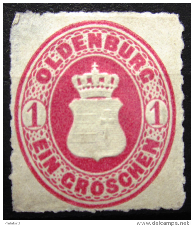 OLDENBOURG                N° 17       Aminci       NEUF SANS GOMME - Oldenburg