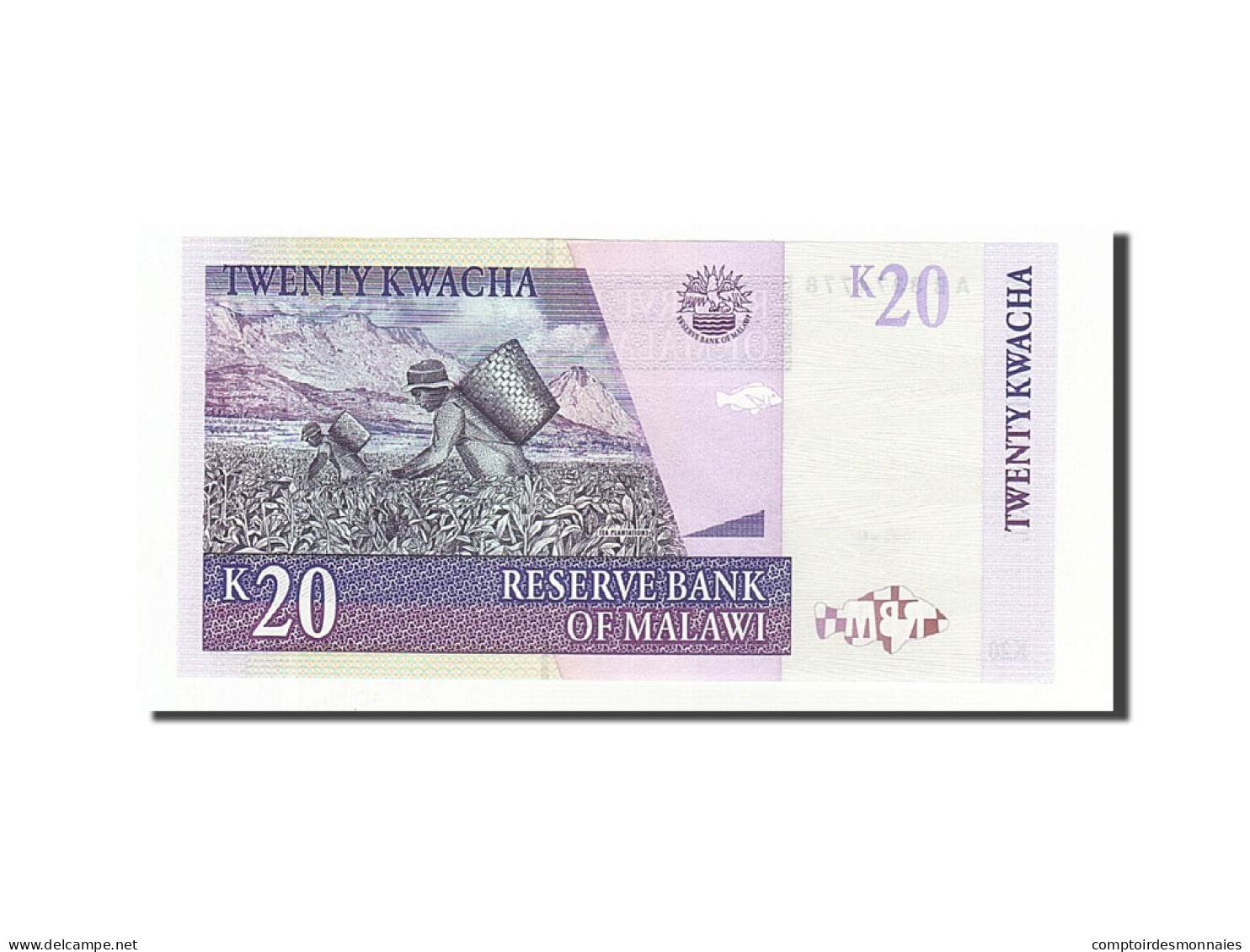 Billet, Malawi, 20 Kwacha, 1997, 1997-07-01, KM:38a, NEUF - Malawi