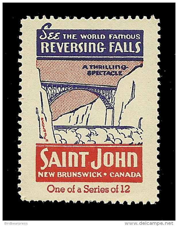 B25-38 CANADA Saint John New Brunswick Tourist Stamp MNH Falls - Viñetas Locales Y Privadas