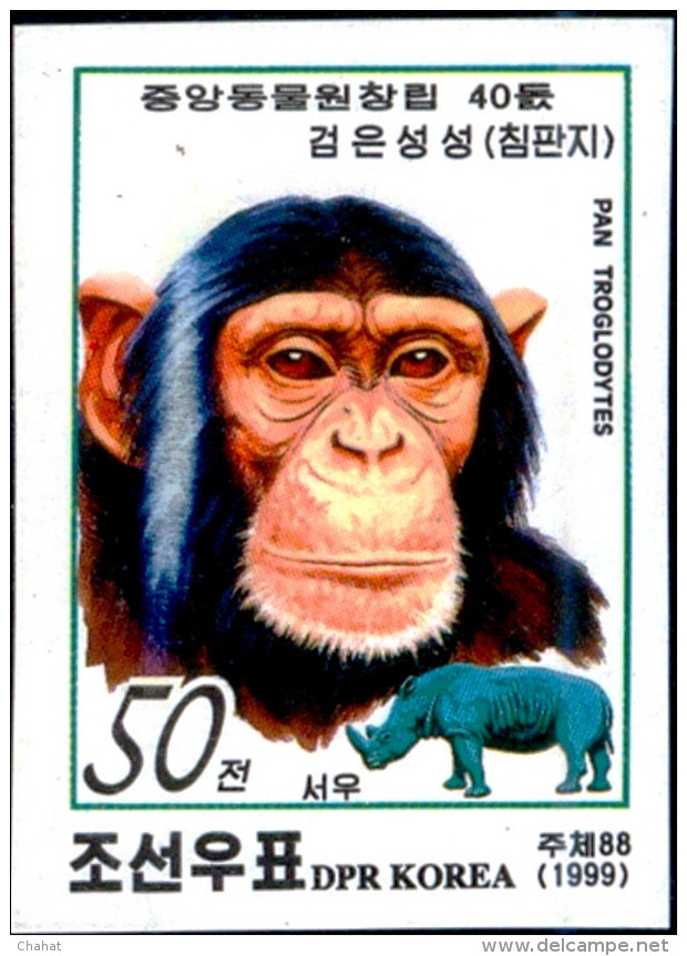 CHIMPANZEE-ZOO ANIMALS-IMPERF-NORTH KOREA-1999-MNH-SCARCE-B9-624 - Chimpancés