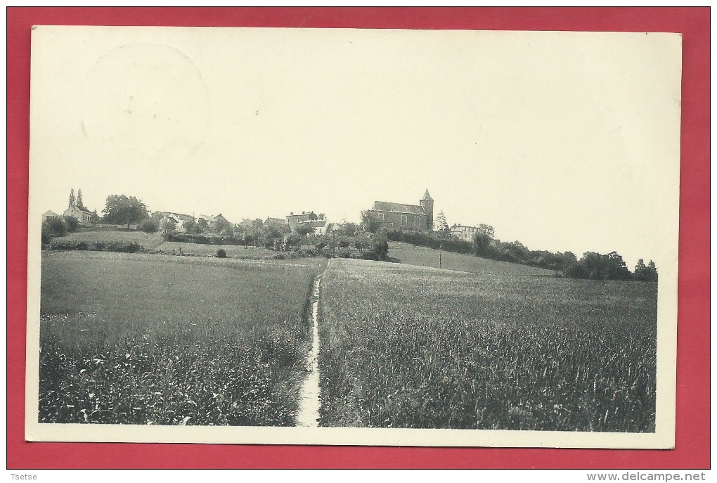 Biez - Dans Le Charme De Ses Collines ... Joli Panorama Du Village - 1958 ( Voir Verso ) - Grez-Doiceau